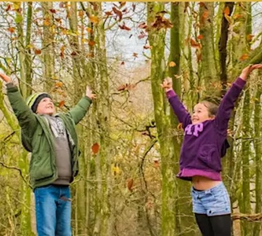 Brede Bulletin, 10 October