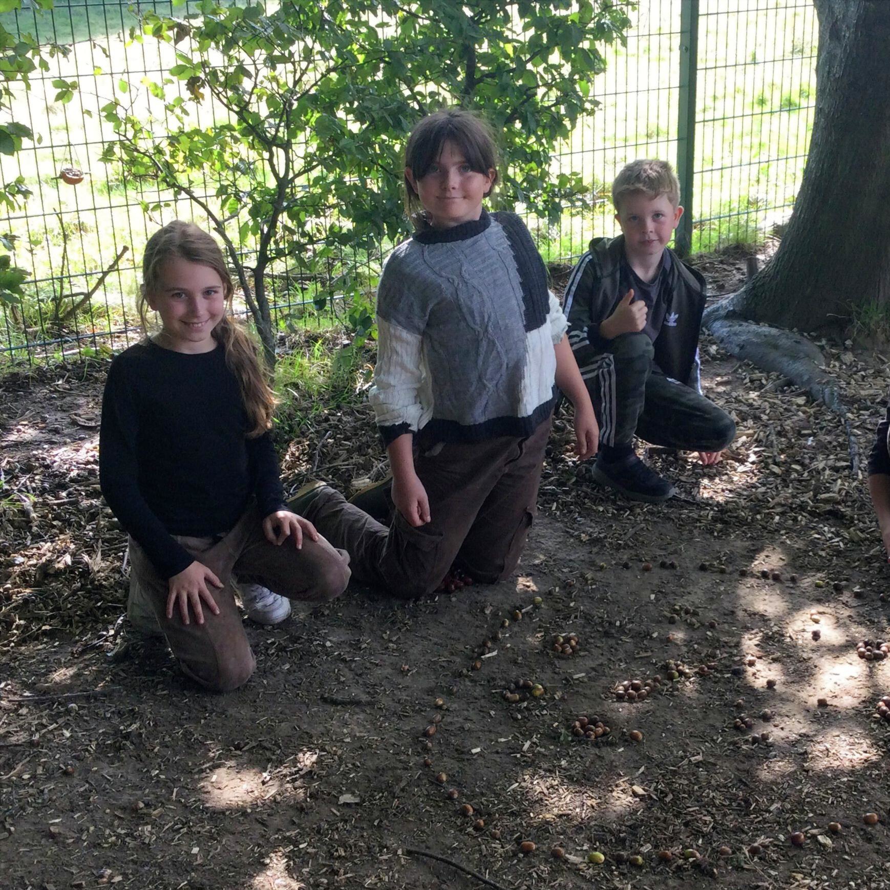 Brede Bulletin, 17 October