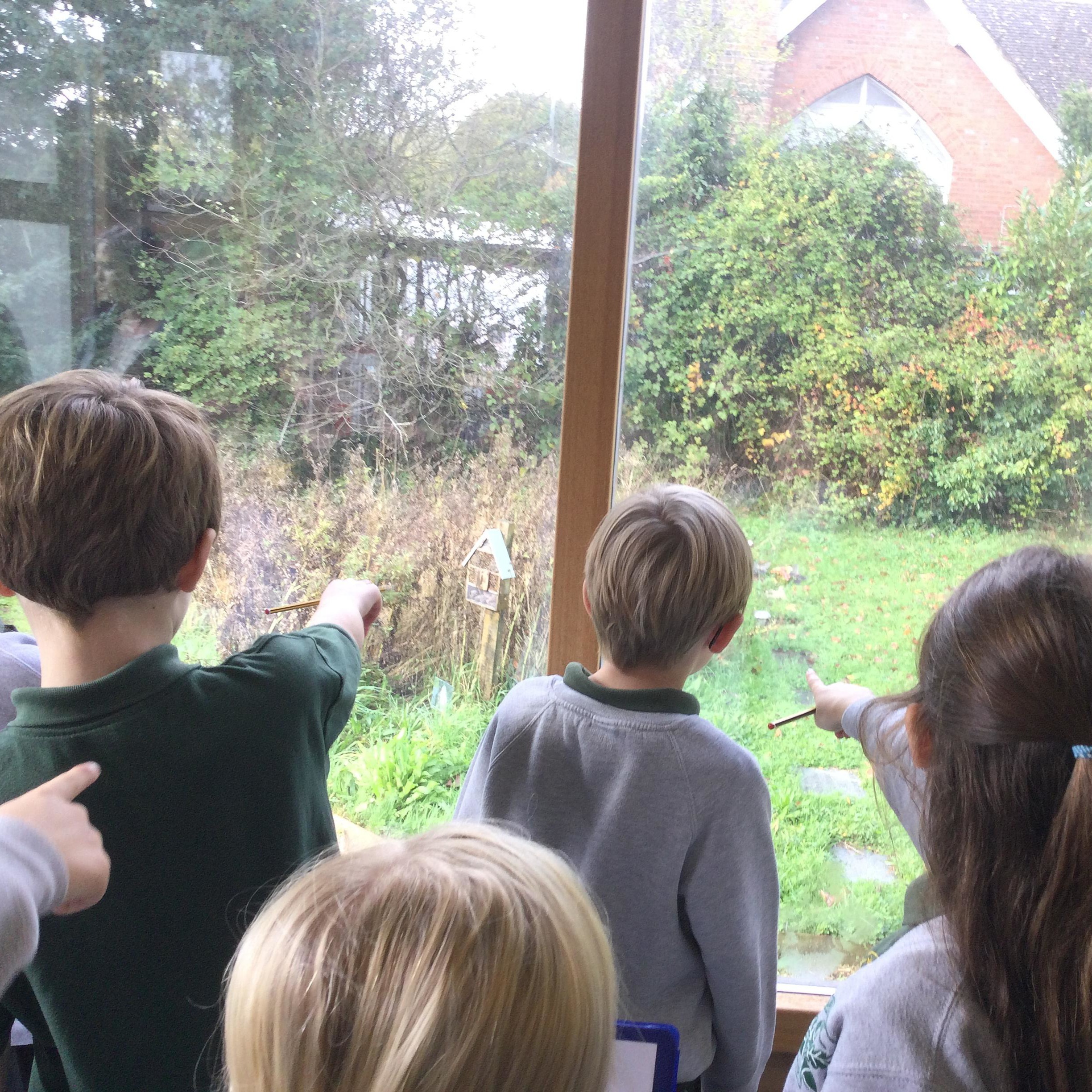 Brede Bulletin, 24 October